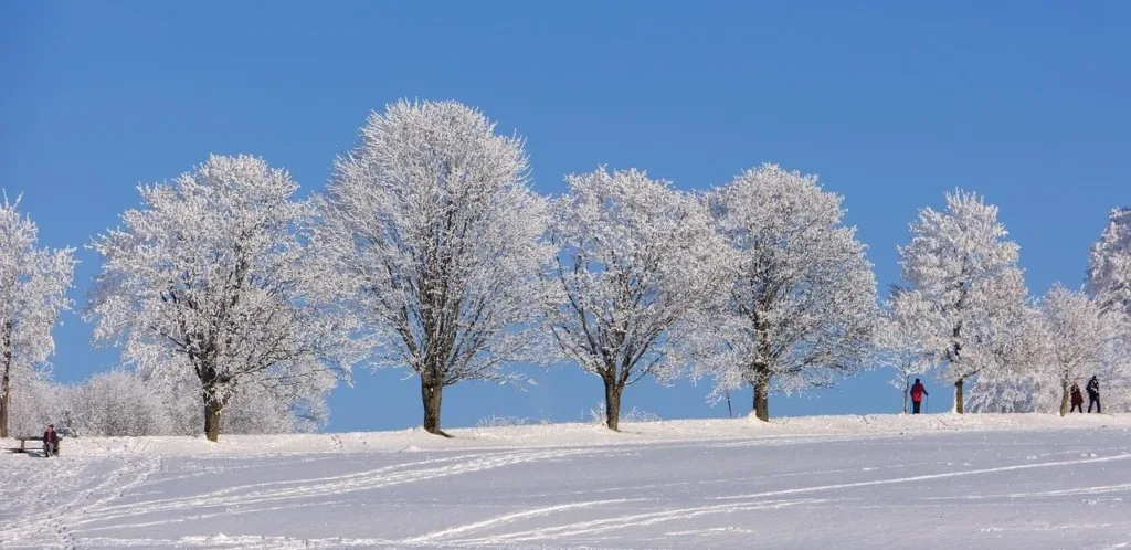 Celle im Winter