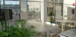 Heimat Celle, Business in Frankfurt